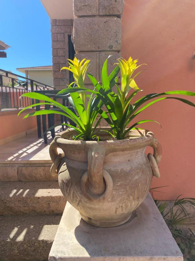 Villa Marogna Αλγκέρο Εξωτερικό φωτογραφία